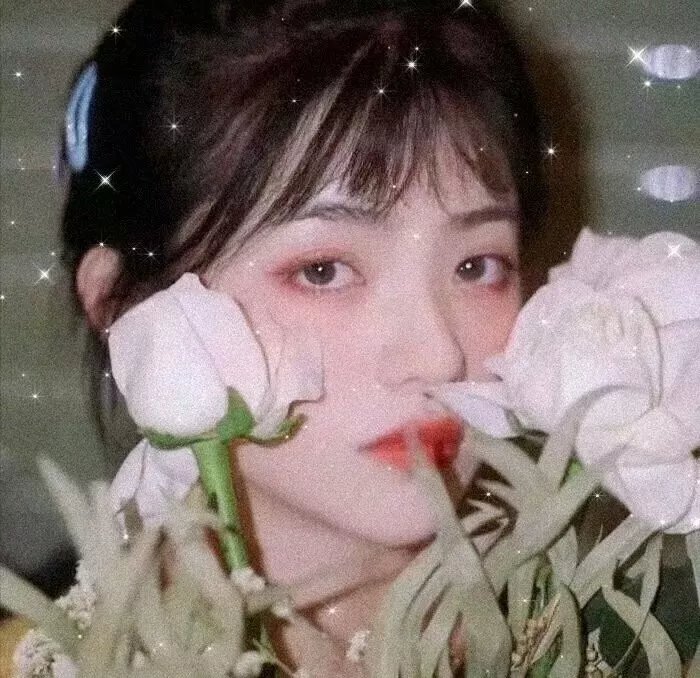 王朝的女人·杨贵妃